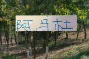 一竞技官网-亚冠别受伤才是王道！ 想想去年申花兽腰阿马杜 太可惜了
